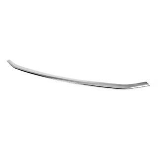 Front bumper protector trim (1 pc, stainless steel) photo 2