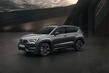 Review of the 300-horsepower Cupra Ateca: first-generation restyling photo 4