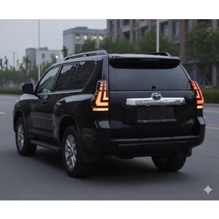 Tail Lights Dragon V1 (2009-2023, 2 pcs) photo 1