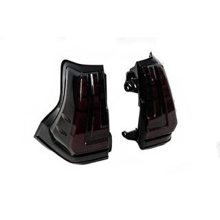 Tail Lights Dragon V1 (2009-2023, 2 pcs) photo 4