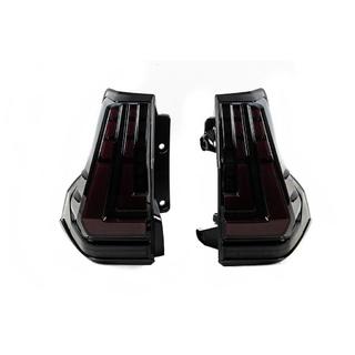 Tail Lights Dragon V1 (2013-2023, 2 pcs) photo 2