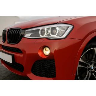 Kidneys M-Look (Gloss Black)