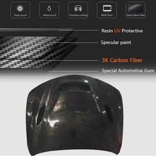 Hood V1 (Carbon) photo 4