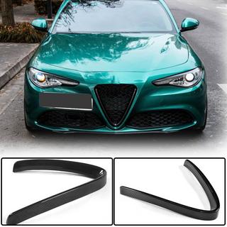 Grille Cover (for Base, Dry Carbon) photo 1