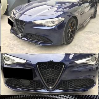 Grille Cover (for Base, Dry Carbon) photo 3