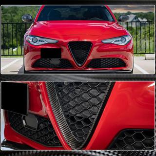 Grille Cover (for Base, Dry Carbon) photo 4