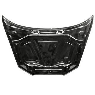 Hood V2 (for Sedan 2012-2016, Carbon) photo 4