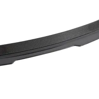 V4 Spoiler (for Sedan, Carbon) photo 4