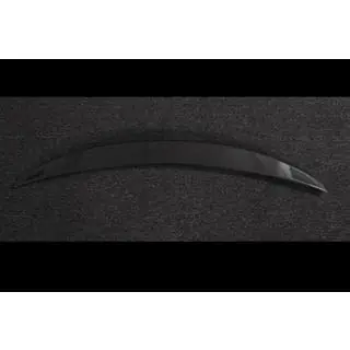 Spoiler V6 (for Sportback, Carbon) photo 3