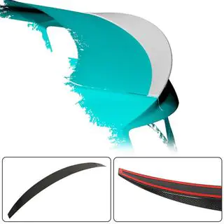 V3 Spoiler Coupe Carbon photo 2