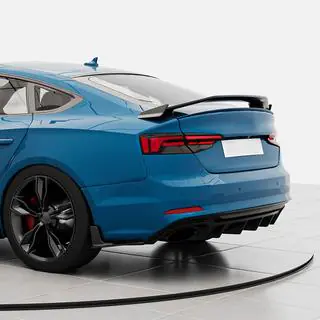 Spoiler V1 (for Sportback, Carbon) photo 2