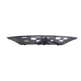 Carbon License Plate Trim (2019-2022) photo 3