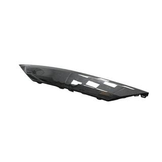 Carbon License Plate Trim (2019-2022) photo 4