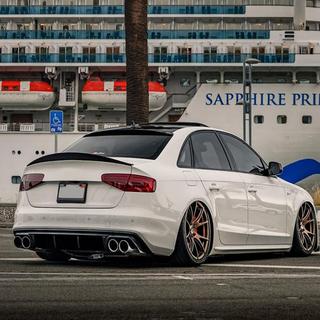 Rear Spoiler (for S4 2013-2016, Carbon) photo 3