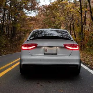 Rear Spoiler (for S4 2013-2016, Carbon) photo 4