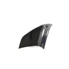 Audi ТТ 2006-2014 Carbon Rear Quarter Panel Covers (Cabriolet) photo 4