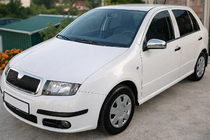 Skoda Fabia 2000-2007 Mirror Covers 2006↗ (2 pcs, Stainless Steel) photo 1