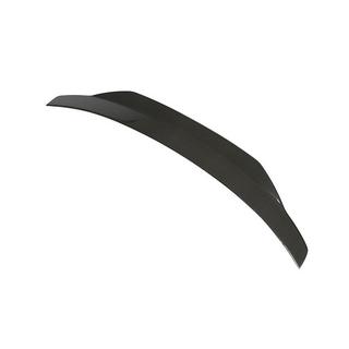 Spoiler V4 (for F22, Carbon) photo 3