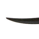 BMW 2 Series F22/F23 2014-2021 M2-Style Spoiler (for F22, Carbon) photo 7