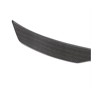 Spoiler V2 (Carbon) photo 3