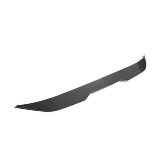 PSM-Style Spoiler (Carbon) photo 3