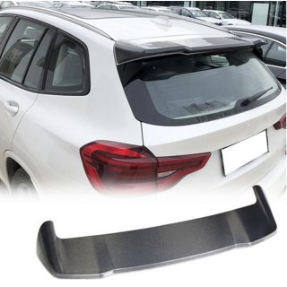Spoiler V1 (Carbon) photo 1