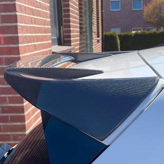 Spoiler V2 (Carbon) photo 3