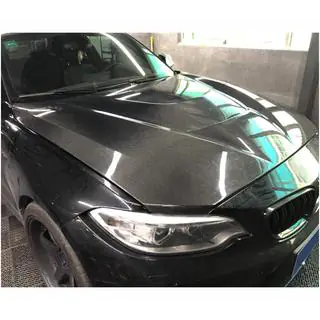 Hood V1 (Carbon) photo 3