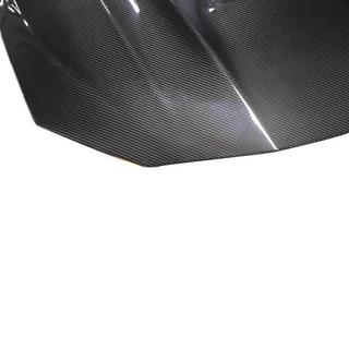 Hood (Carbon) photo 4