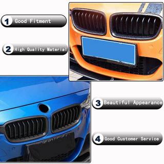 Grille Kidney 1 Bar (Carbon) photo 2
