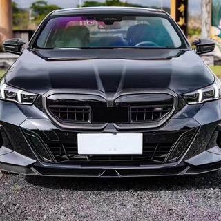 Kidney Grilles (Carbon) photo 2