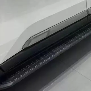 Side Steps (2 pcs) photo 2