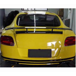 Spoiler V2 (Carbon) photo 3