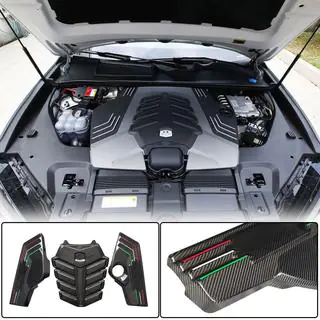 Engine Cover (Dry Carbon) photo 1