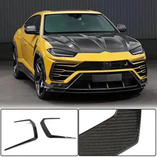 Front Bumper Flap Covers (Dry Carbon) photo 1