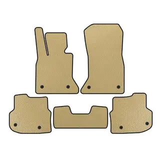 Floor mats 2010-2013 (EVA, beige)