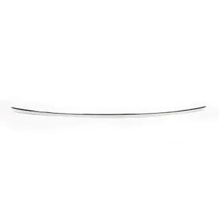 Bumper trim (SW, stainless steel) photo 2