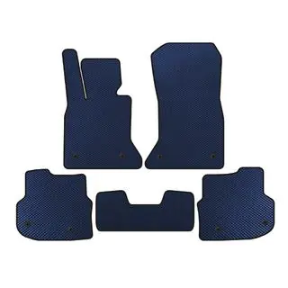 Floor mats 2010-2013 (EVA, blue)