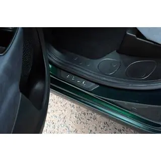 Door Sill Protectors 500L (OmsaLine, 4 pcs, Stainless Steel) photo 3