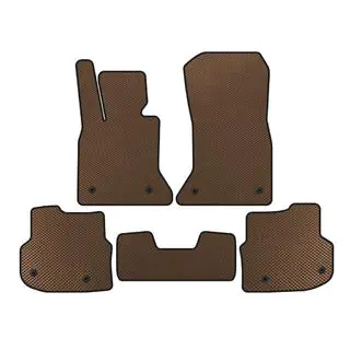 Floor mats 2010-2013 (EVA, brown)