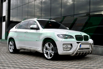 BMW X6 E71 2008–2014 Bull Bar WT003 (Stainless Steel) photo 2