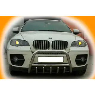 Bull Bar WT003 (Stainless Steel) photo 4