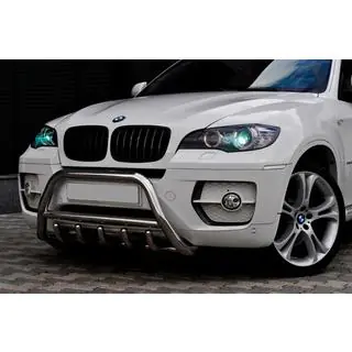Bull Bar WT003 (Stainless Steel)