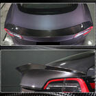 Tesla Model 3 2017- Spoiler V1 (2017-2023, Carbon) photo 5