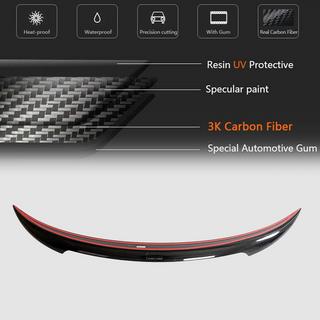 Spoiler V1 (2023+, Carbon) photo 3