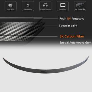 Spoiler V2 (2023+, Carbon) photo 3