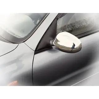 Stainless Steel Mirror Covers photo 3