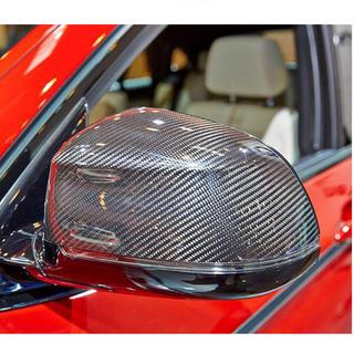 Mirror Covers (for F16, Carbon) photo 2