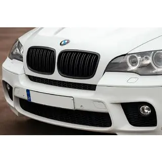 Kidneys M-Look V2 (Gloss Black) photo 1