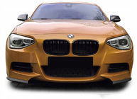 BMW 1 Series F20/F21 2011-2019 Kidney Grilles M-Look (2011-2014, Gloss Black) photo 3
